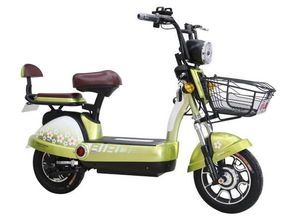 小鳥電動車 用心質造，只為放心電動車